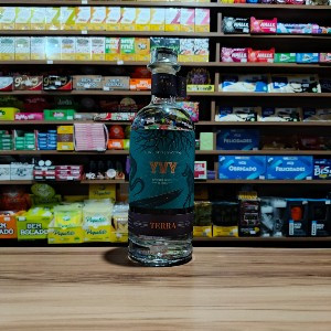GIN YVY TERRA 750ML