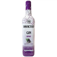 GIN INVICTUS ROYALE DARK BERRY