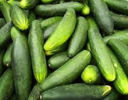 PEPINO KG