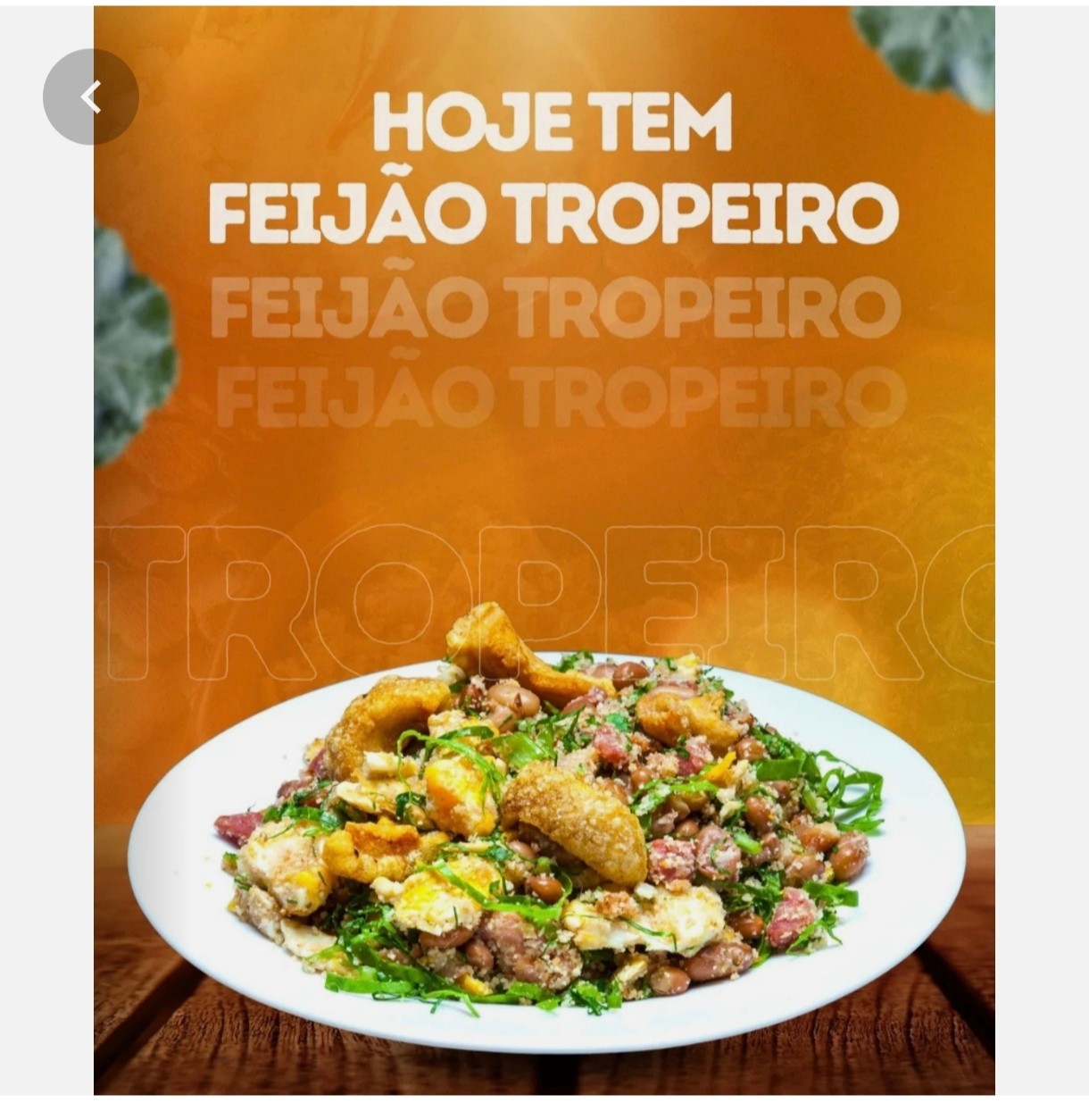 FEIJÃO TROPEIRO PEQUENO 
