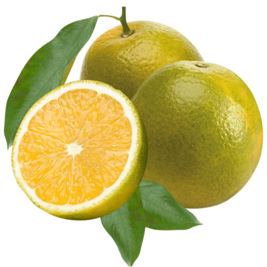 LARANJA PERA kg