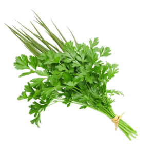 CHEIRO VERDE
