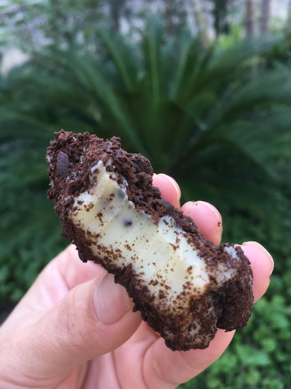 PALHA ITALIANA DE OREO