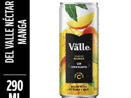  Del Valle - Manga 290ml