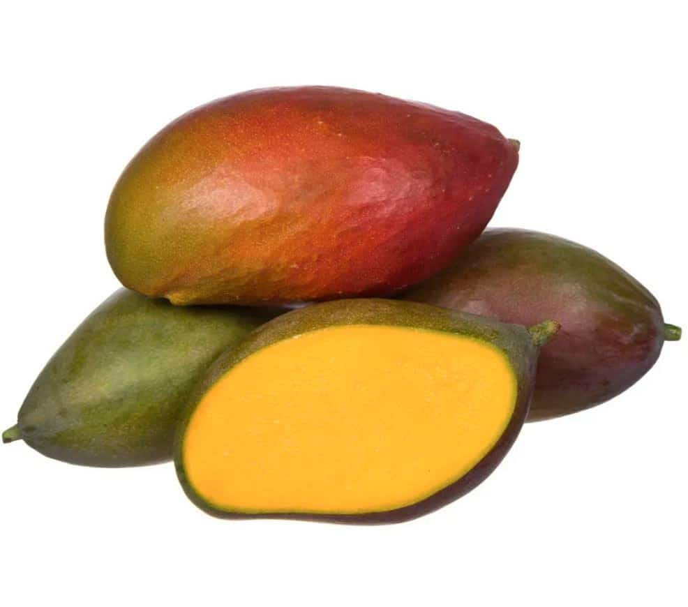 MANGA PALMER FRUTA
