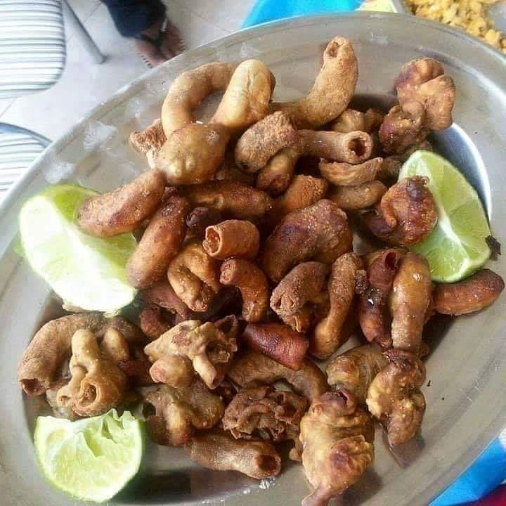 TRIPA DE PORCO