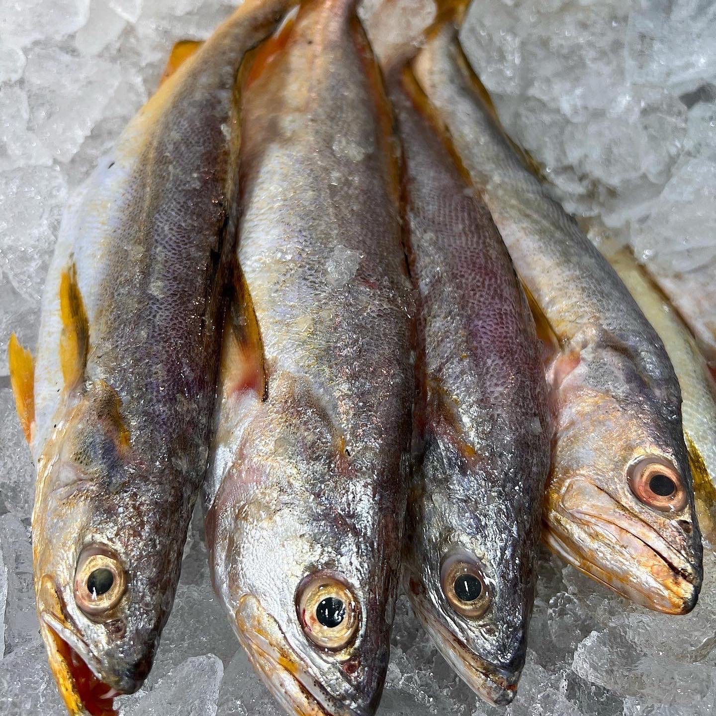 Pescadinha (1kg).