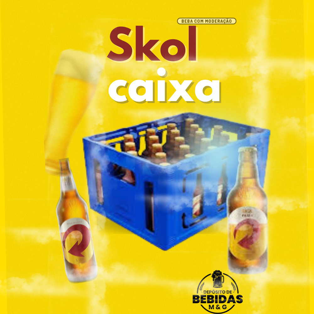 SKOL CAIXA RETORNAVEL 23 UNIDADES