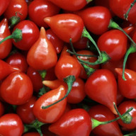 AD PIMENTA BIQUINHO