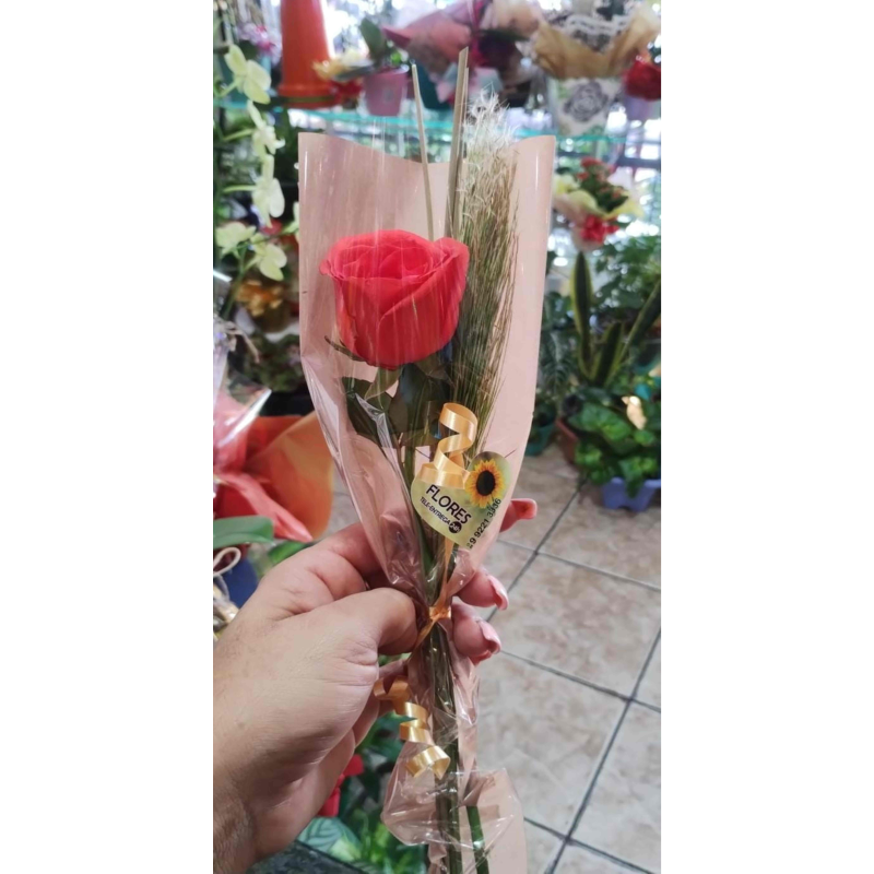 1 Rosa Nacional Decorada