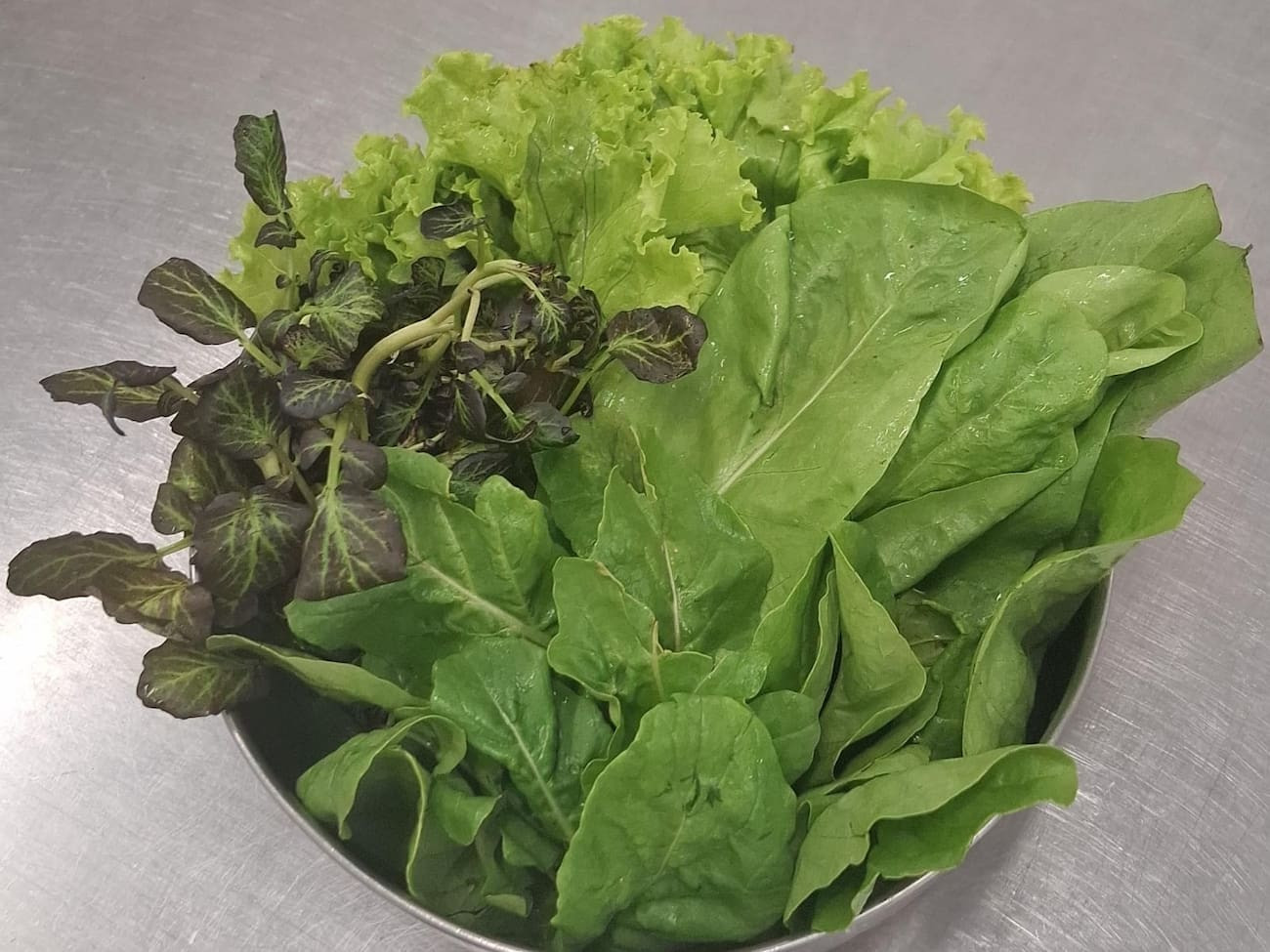Salada Verde