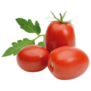 TOMATE SALADETE