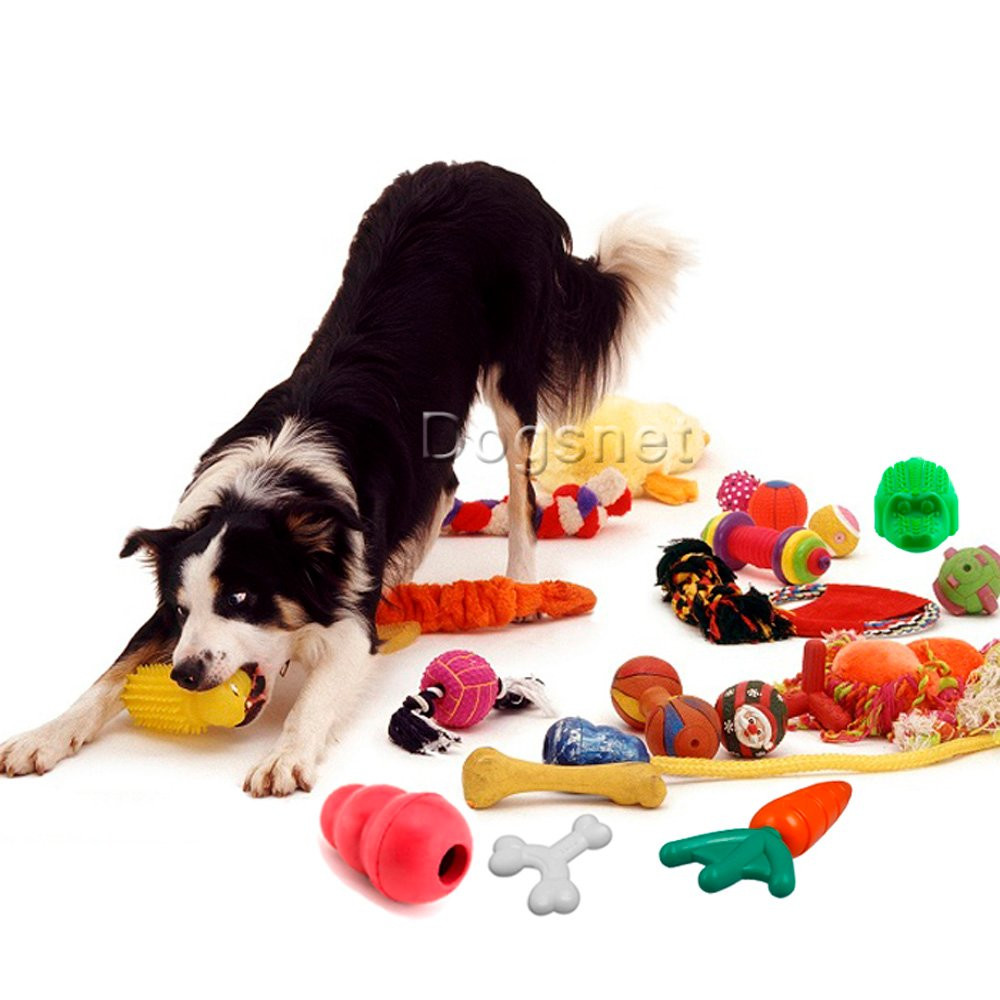Kit de brinquedos