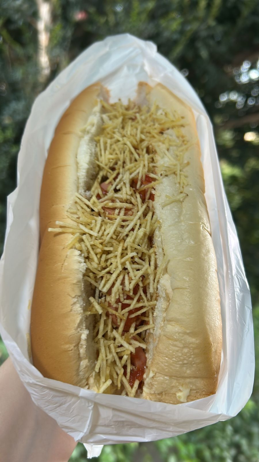 CACHORRO QUENTE BENDITA