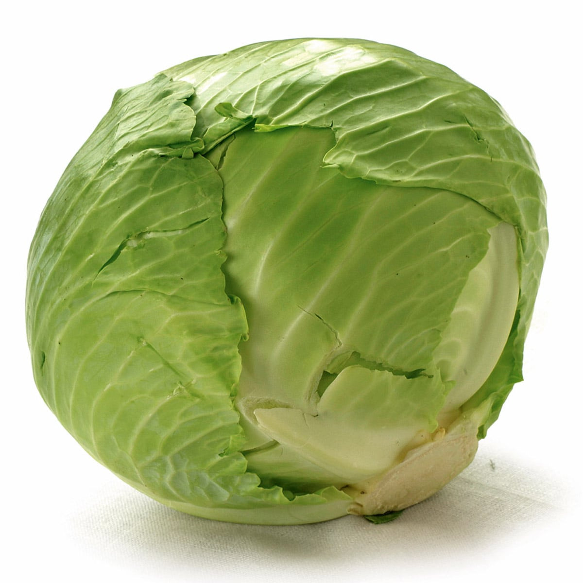 REPOLHO VERDE LEGUMES