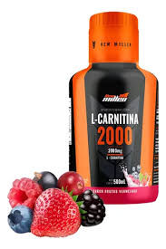 L-Carnitina 2000mg Frut Vermelhai 500ml New Millen