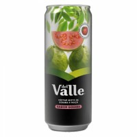 SUCO DEL VALLE GOIABA