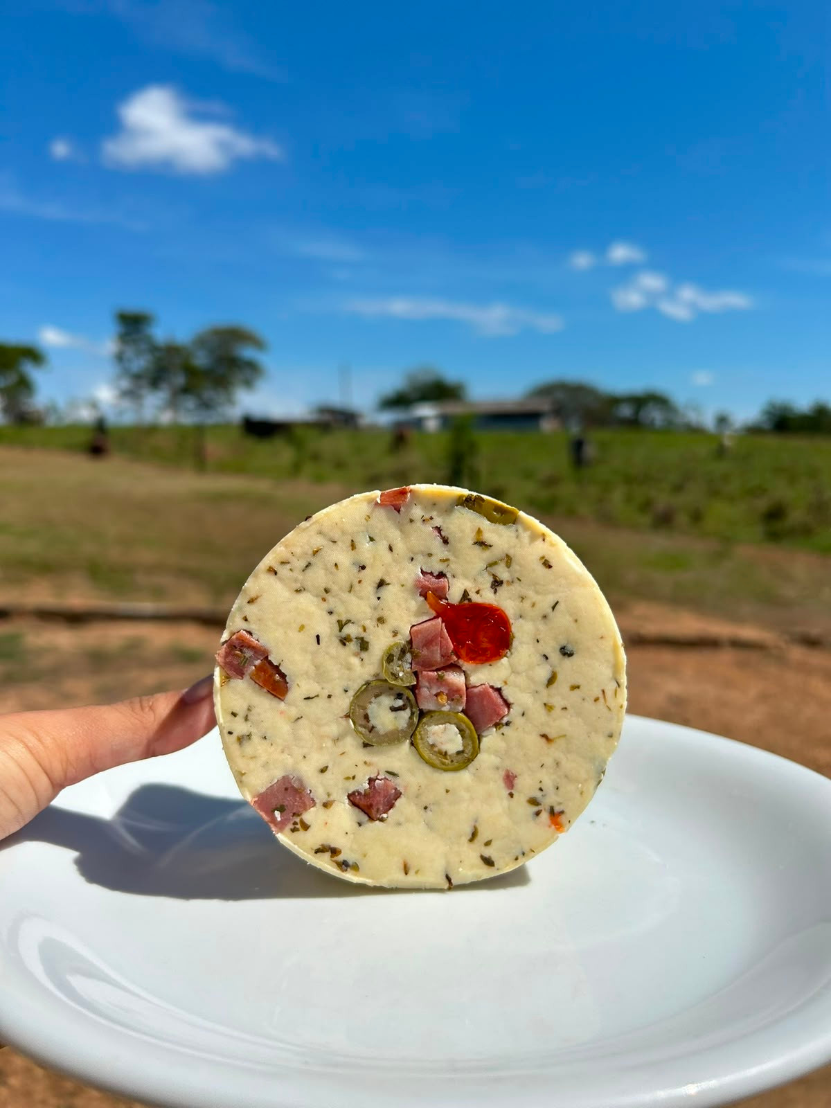 Queijo Minas Frescal Temperado Meu Queijinho - 550g 