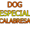 DOG ESPECIAL COM CALABRESA 