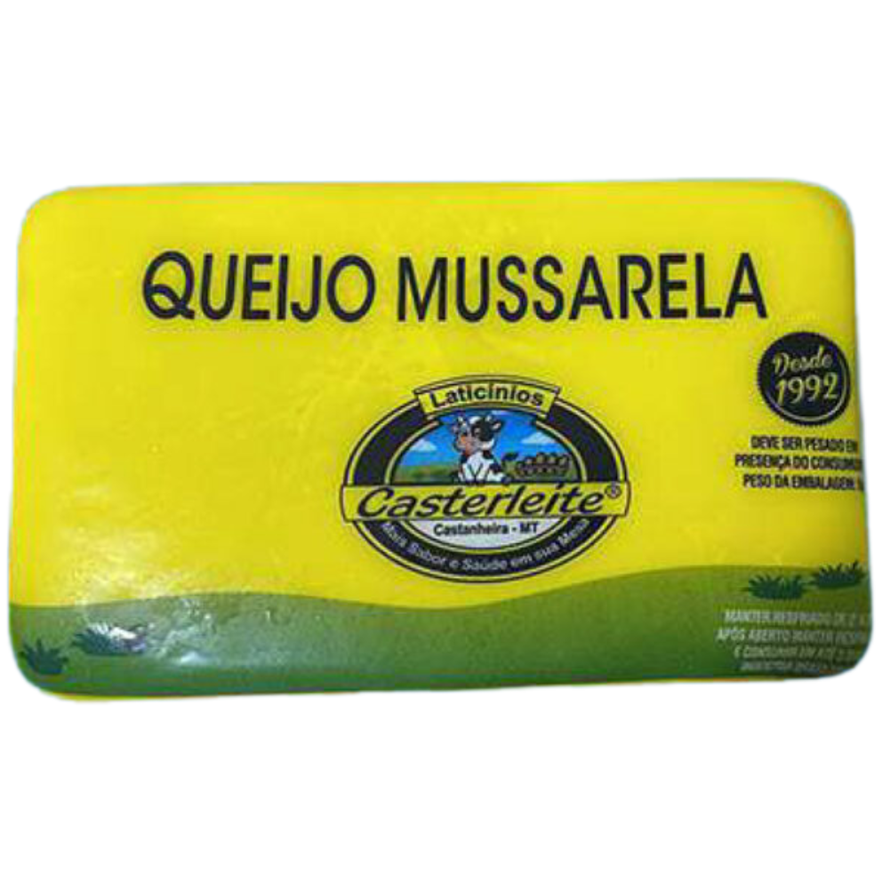 QUEIJO MUSSARELA CASTERLEITE BARRINHA