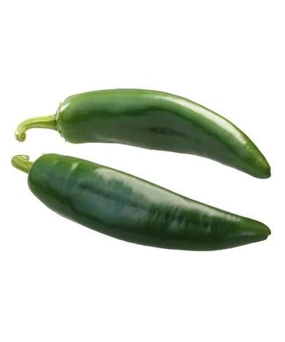 PIMENTA JALAPENO KG