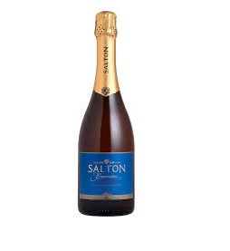 SALTON BRUT 750ML