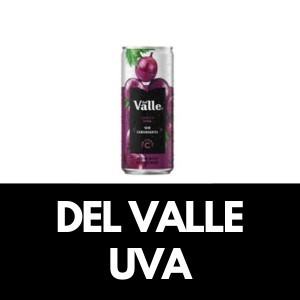 DEL VALLE UVA 290ML