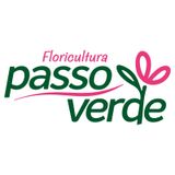 FLORICULTURA PASSO VERDE
