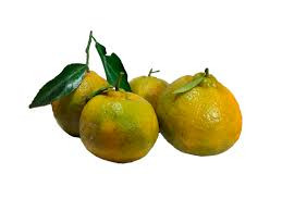 MEXERICA TANGERINA POKAN FRUTA
