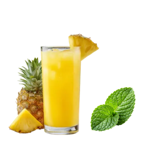 SUCO ABACAXI C/ HORTELA COPO