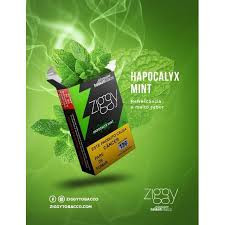ESSENCIA ZGY APOCALIX MINT 50G