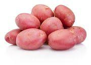 Batata ing. Rosa Kg