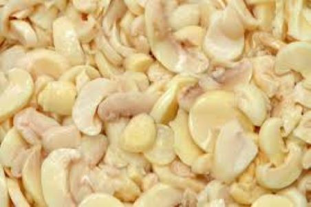 INGREDIENTE CHAMPIGNON
