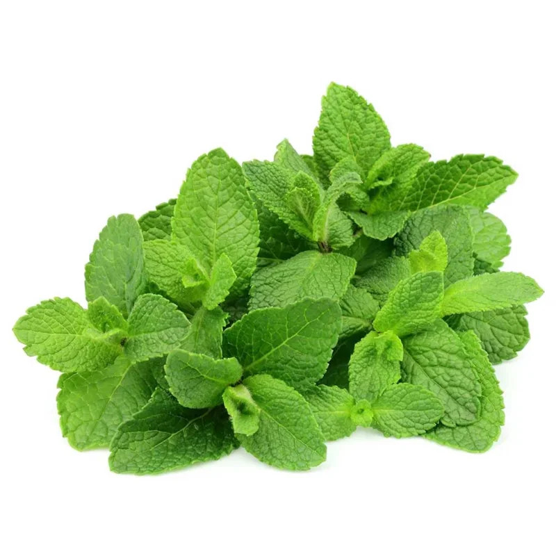 Hortela Un