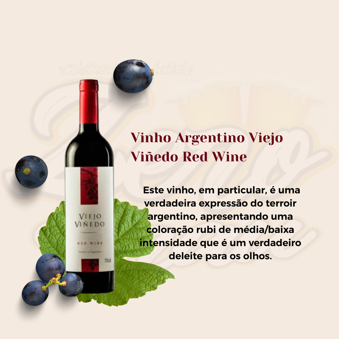 VINHO VIEJO VINEDO TINTO 750ML