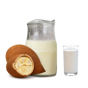 SUCO CUPUAÇU C/ LEITE 1LT