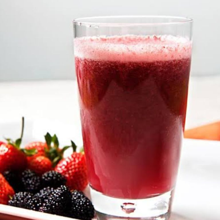 SUCO DE FRUTAS VERMELHA  500ML