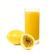 SUCO DE MARACUJÁ 500ML