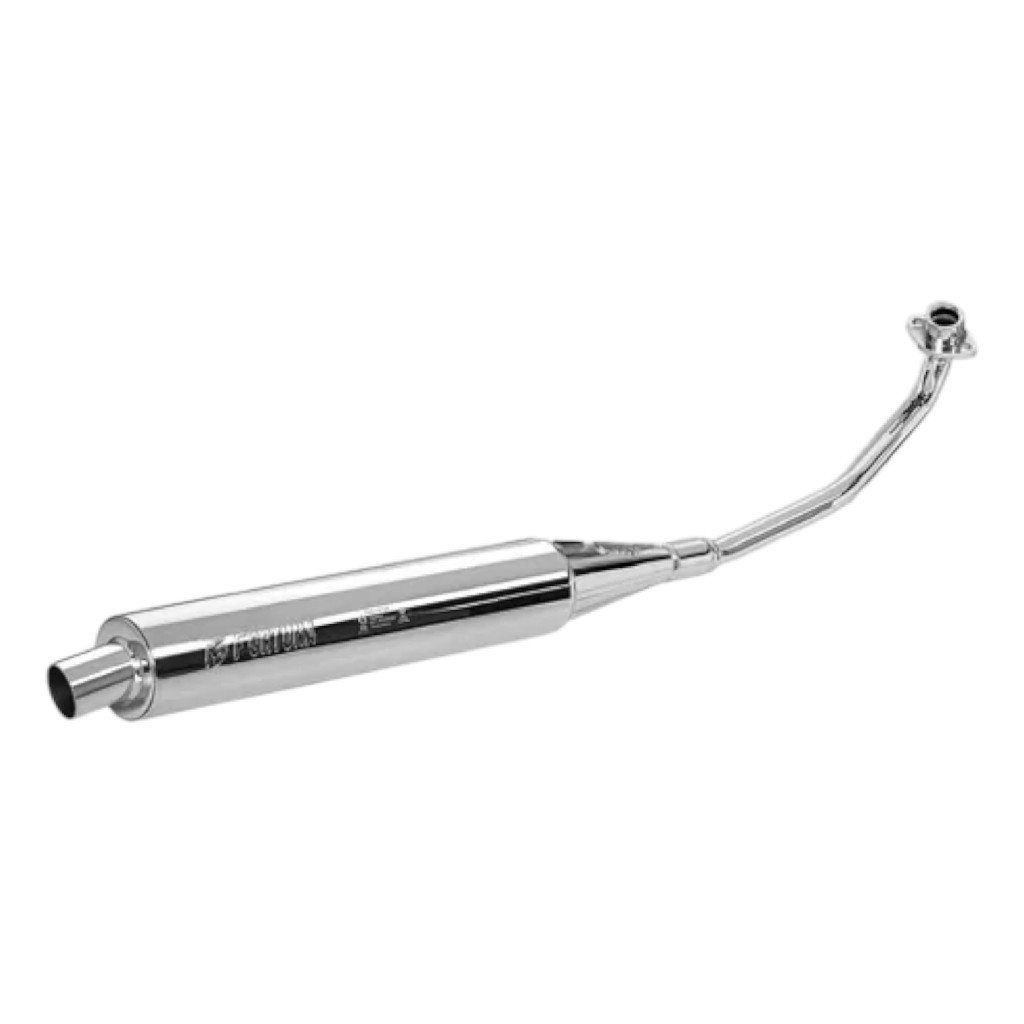 ESCAPE BIZ 125 06/10 MODELO F1 CROMADO - FORTUNA