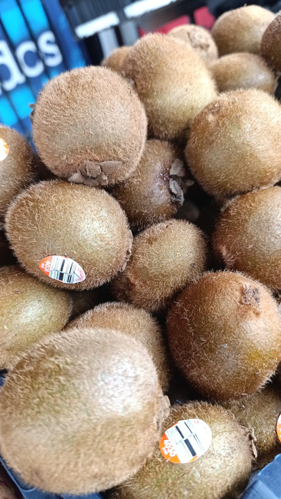 KIWI KG