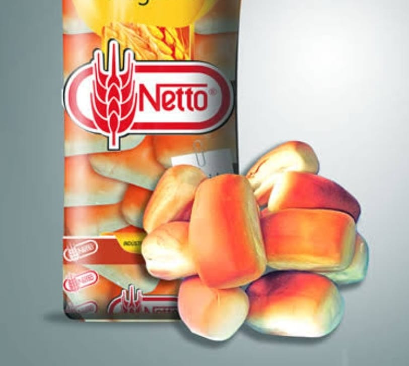 PÃO HOT DOG NETTO 450G