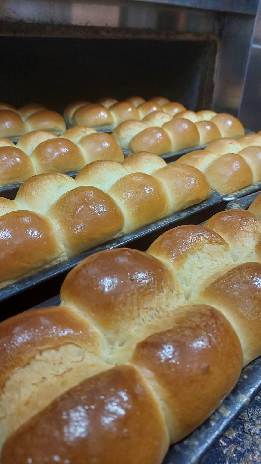 Pão Brioche