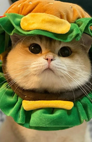 CAT - HAMBÚRGUER