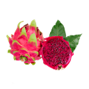 PITAYA KG