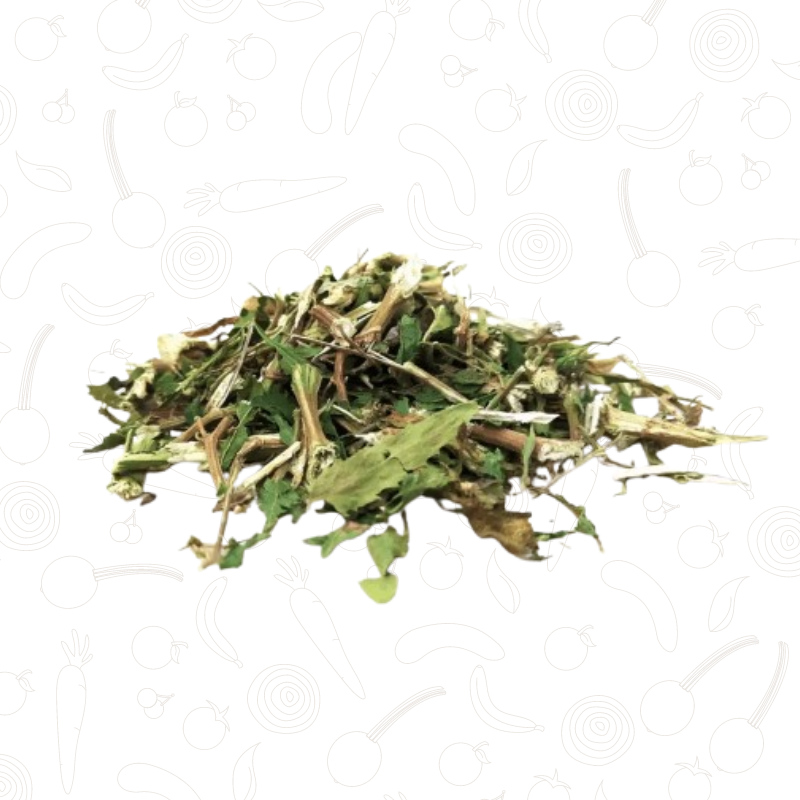 Erva Santa Maria 50g