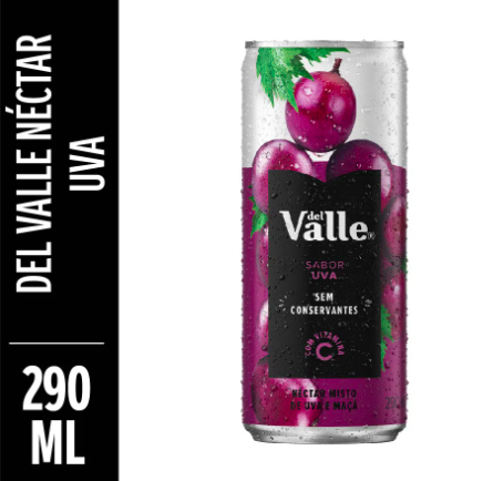 Suco Del Valle Uva 290ml