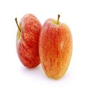 MACA NACIONAL