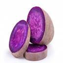 CARA ROXO KG