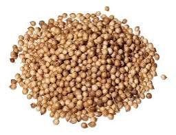 Coentro Em Grao Argentino (100g)