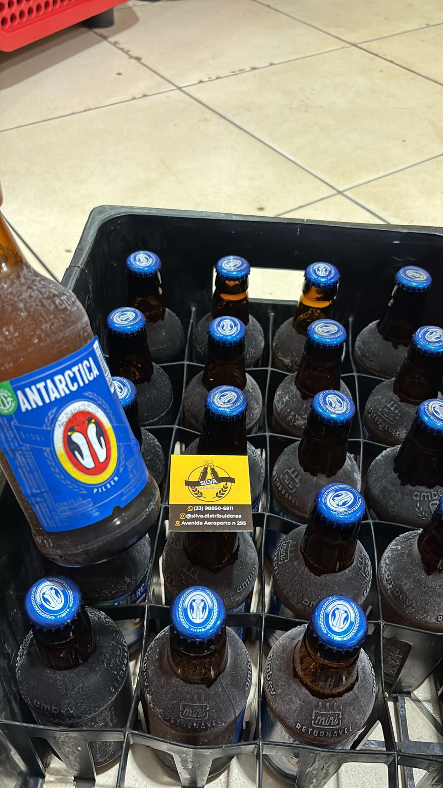 ANTARCTICA PILSEN 300ML